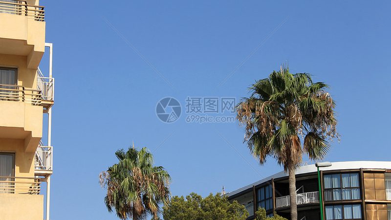 亲子农耕体验项目，到底该选哪类供应商